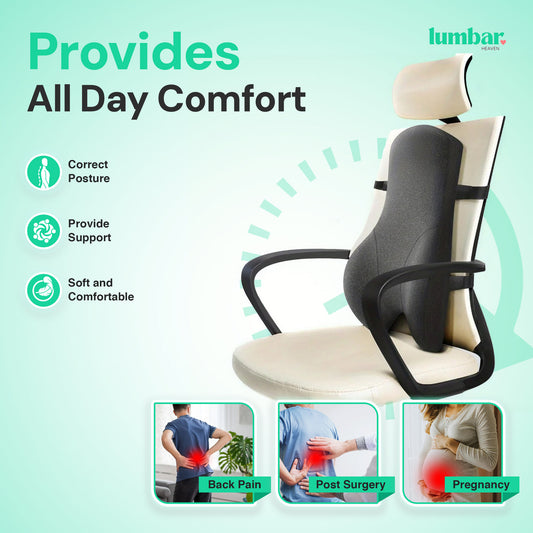 Lumbar Heaven Work From Anywhere Lumbar Support Cushion - Lumbar Heaven